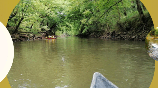 Design sans titre (17)